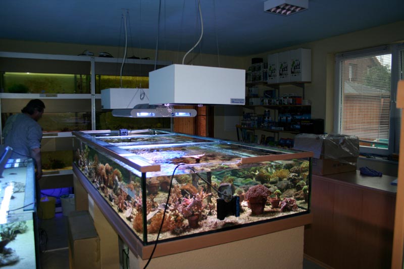 Killikus&reg; Fotographie